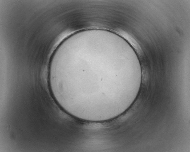 X0000116021094200912312148