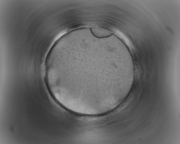 X0000116021095200912312148