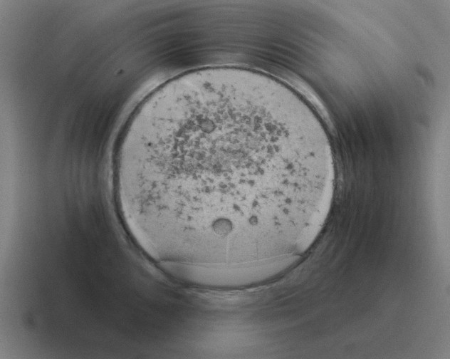 X0000116021096200912312148