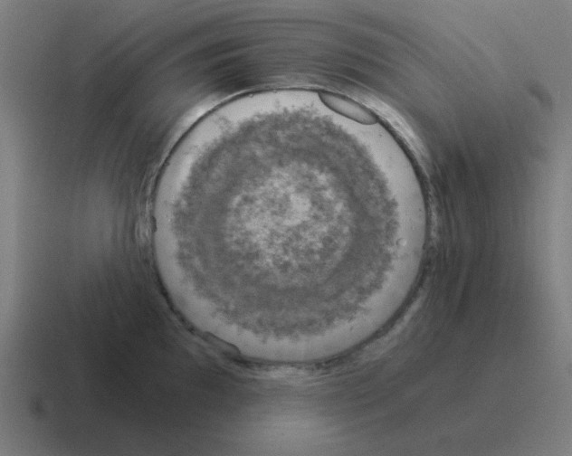 X0000116021097200912312148