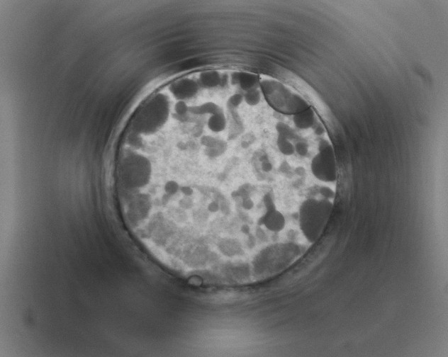 X0000116021099200912312148