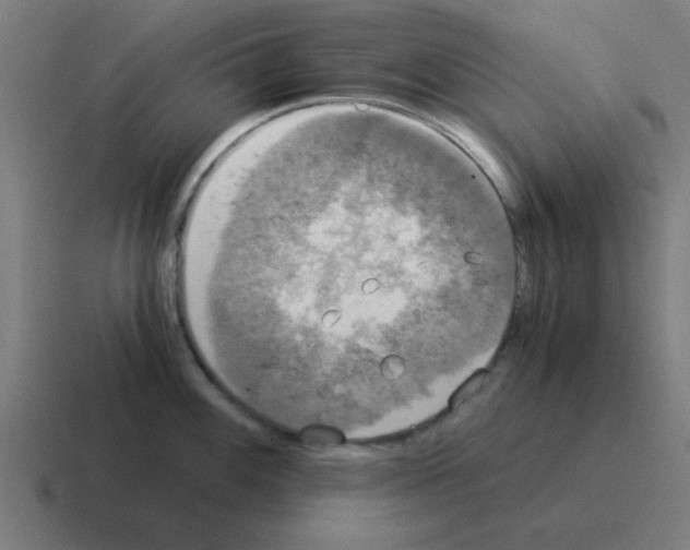 X0000116021100200912312148