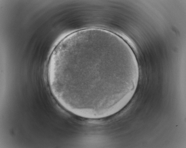 X0000116021102200912312148