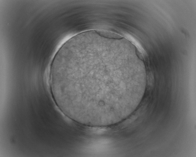 X0000116021103200912312148