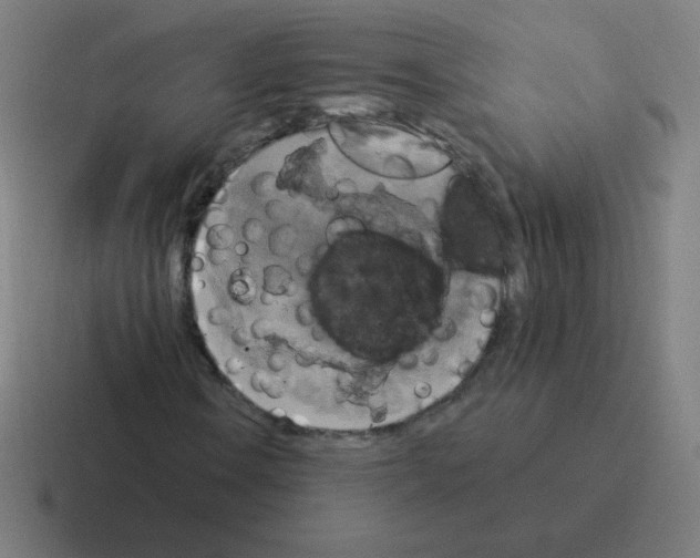 X0000116021106200912312147