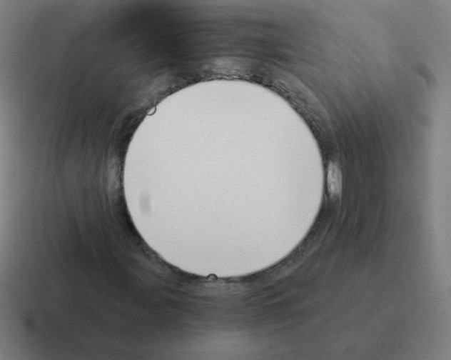 X0000116021107200912312147