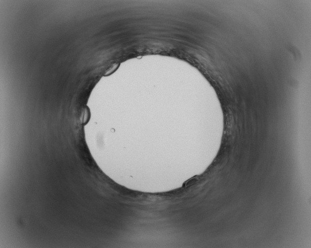 X0000116021109200912312147