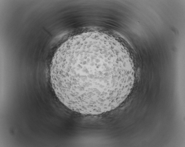 X0000116021111200912312147