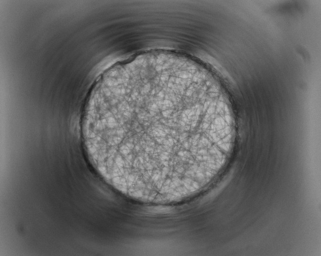 X0000116021113200912312147