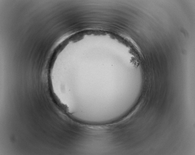 X0000116021114200912312147