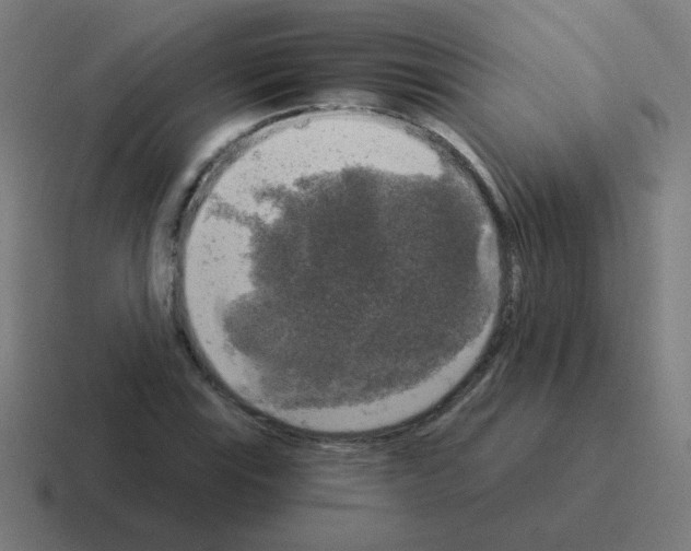 X0000116021115200912312147