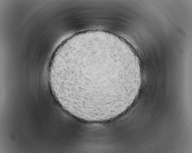 X0000116021119200912312147