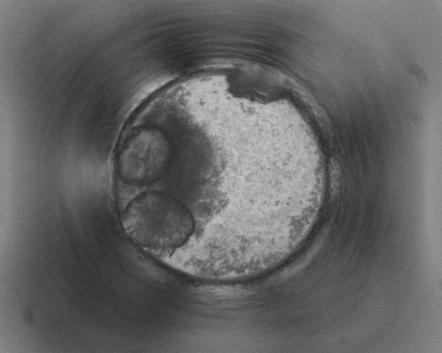 X0000116021121200912312147