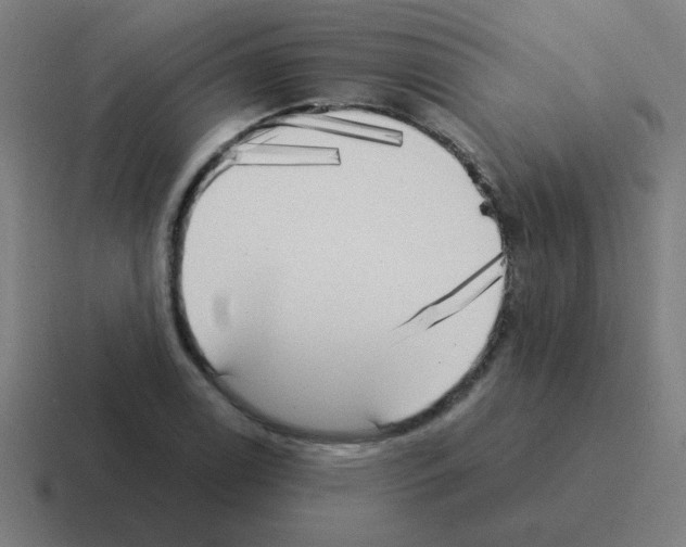 X0000116021122200912312147