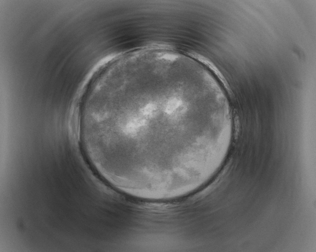 X0000116021123200912312147