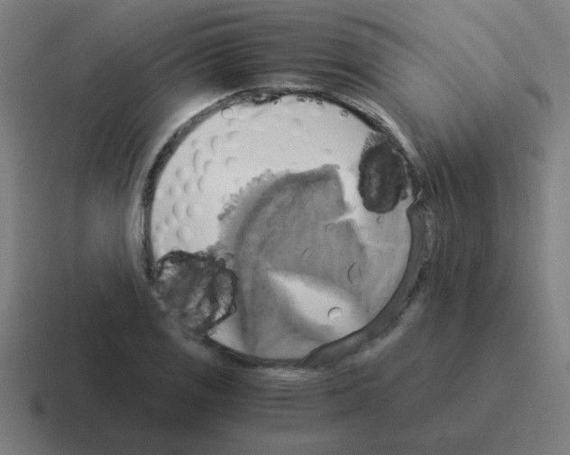 X0000116021125200912312148