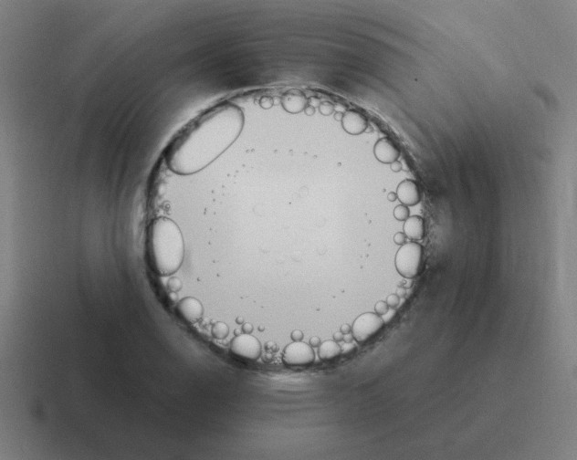 X0000116021126200912312148