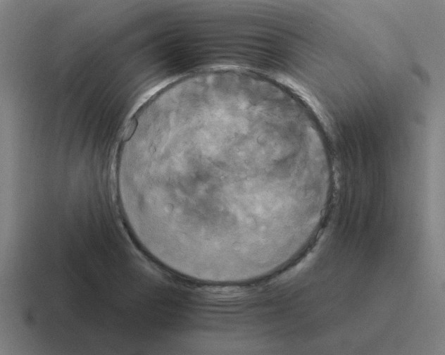 X0000116021129200912312148