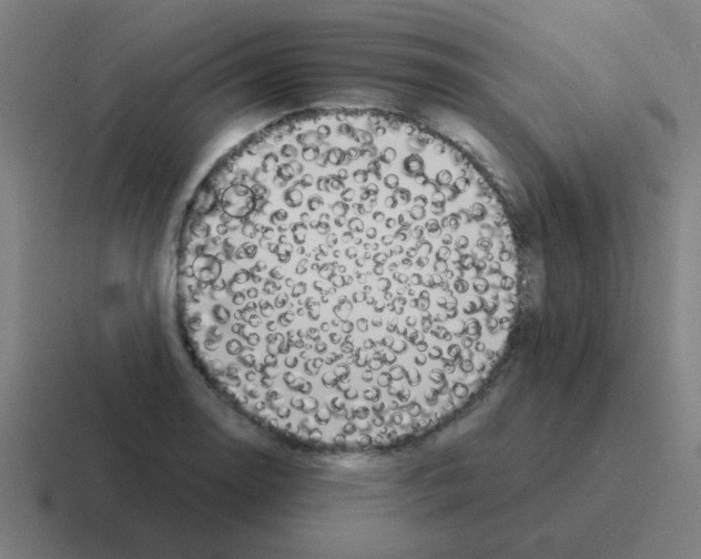 X0000116021130200912312148