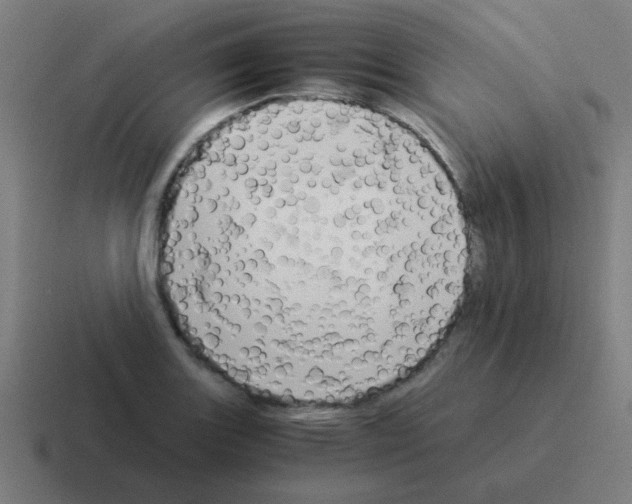 X0000116021131200912312148