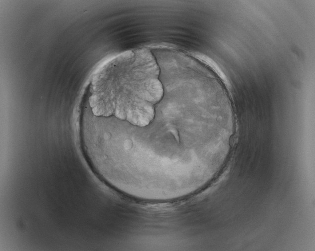 X0000116021133200912312148