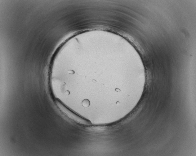 X0000116021134200912312148