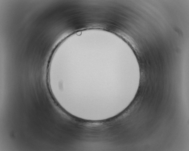 X0000116021135200912312148