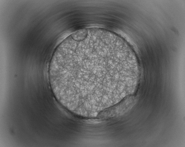 X0000116021137200912312148