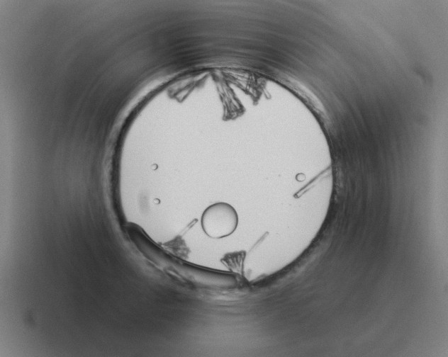 X0000116021138200912312148