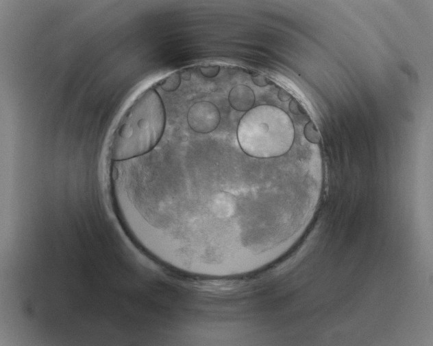 X0000116021141200912312148