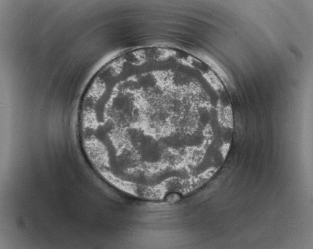 X0000116021142200912312148