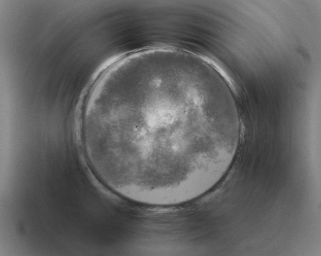 X0000116021143200912312148