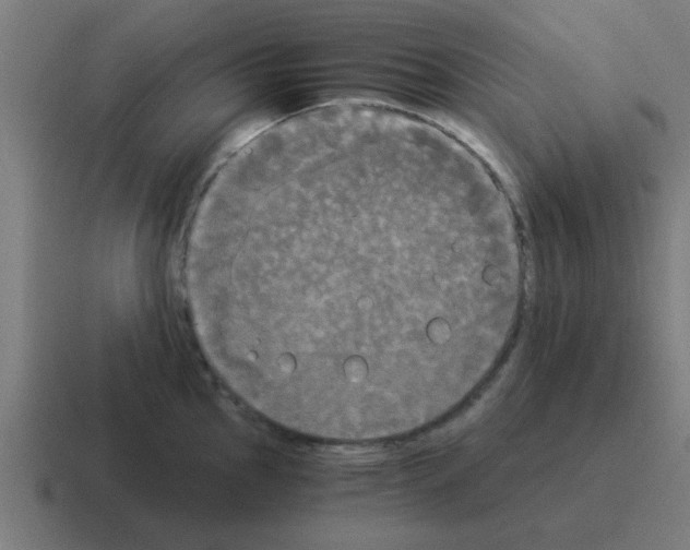 X0000116021145200912312148