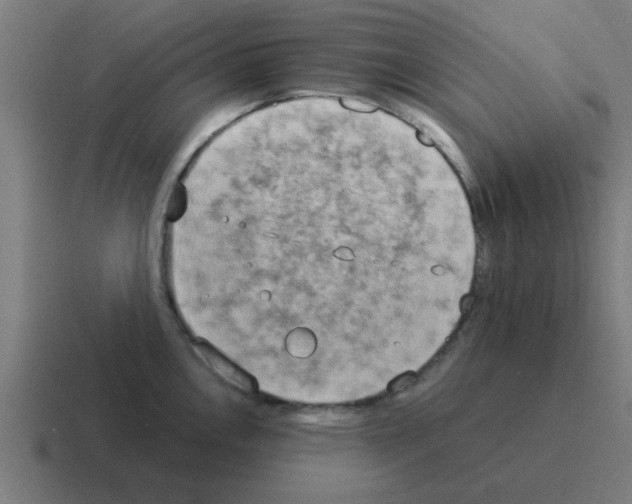 X0000116021146200912312148