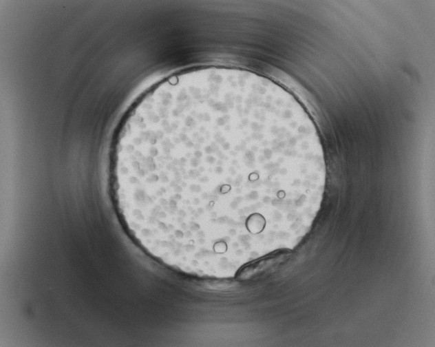 X0000116021147200912312148