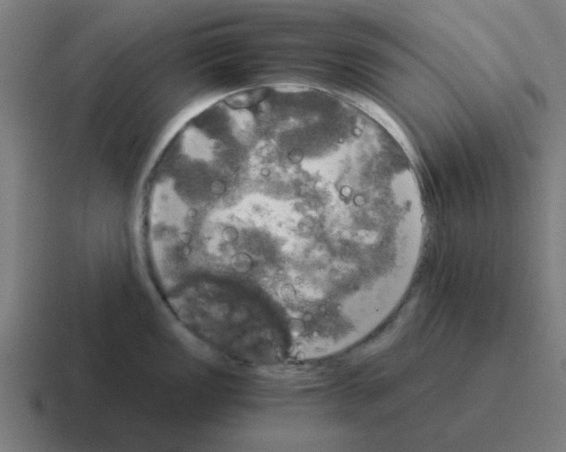 X0000116021149200912312148