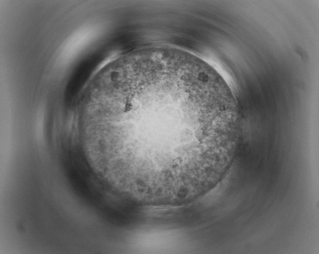 X0000116021150200912312148