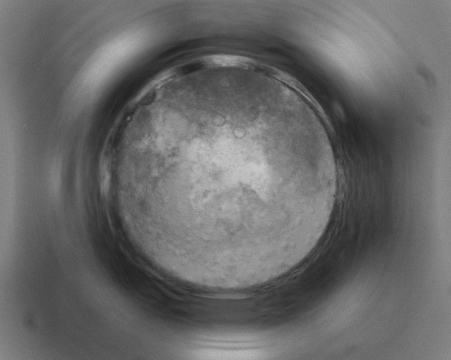 X0000116021151200912312148