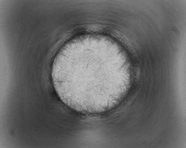 X0000116021153200912312147