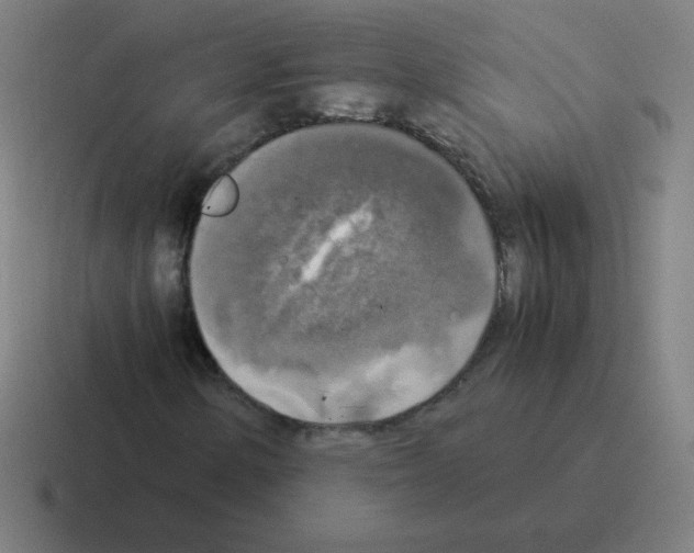 X0000116021154200912312147