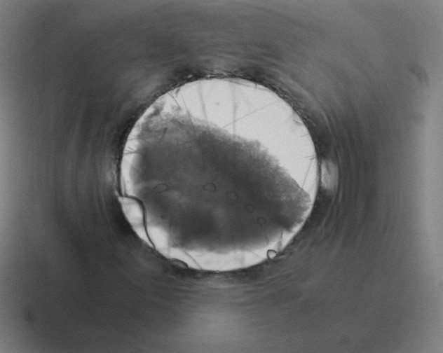 X0000116021155200912312147