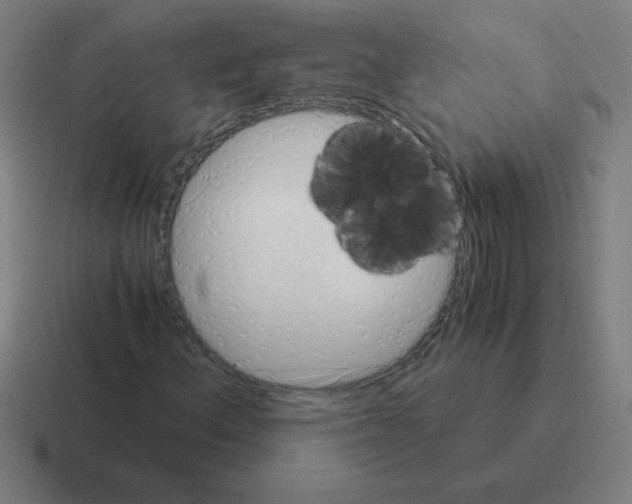 X0000116021156200912312147