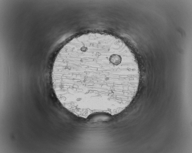 X0000116021159200912312147