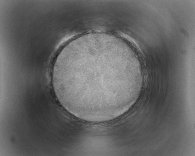 X0000116021160200912312147