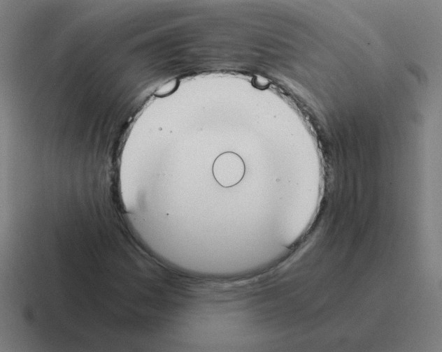 X0000116021161200912312147