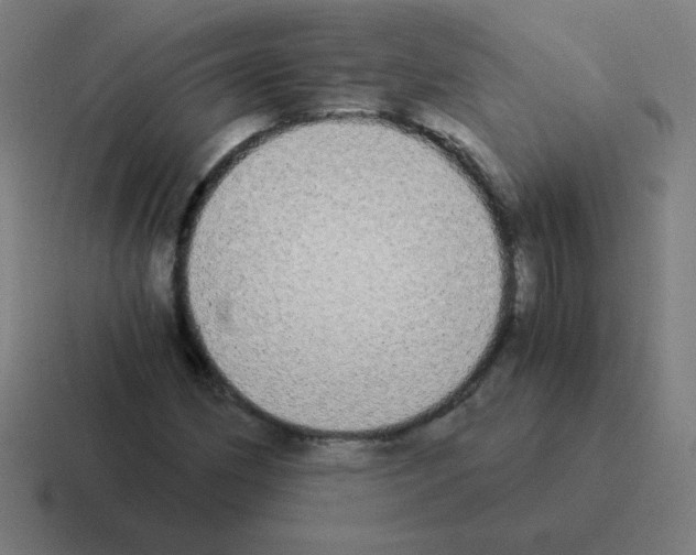 X0000116021162200912312147