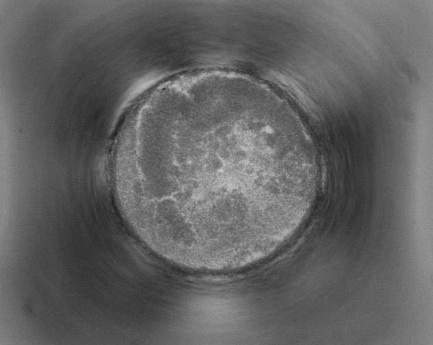 X0000116021164200912312147