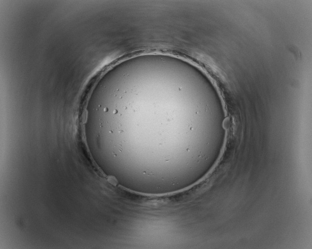 X0000116021165200912312147