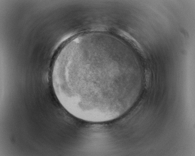 X0000116021166200912312147