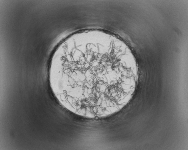 X0000116021167200912312147